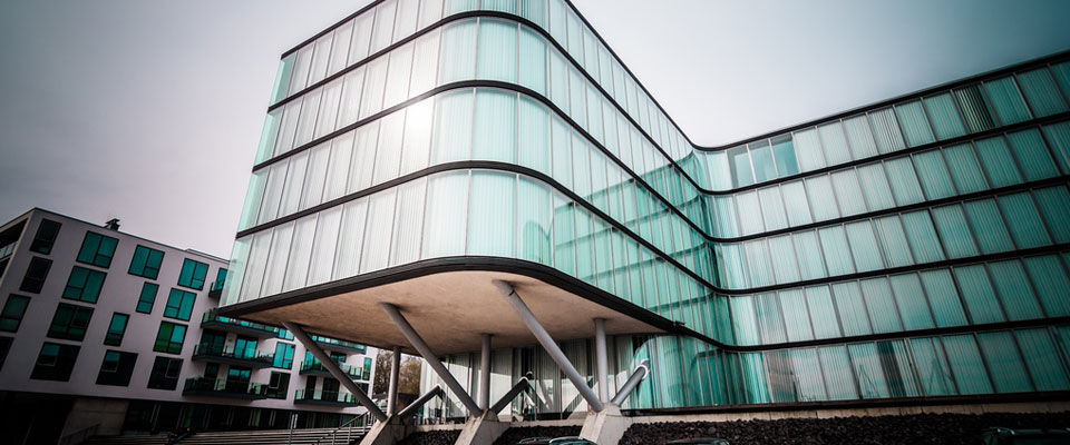 求推荐个呼死NI